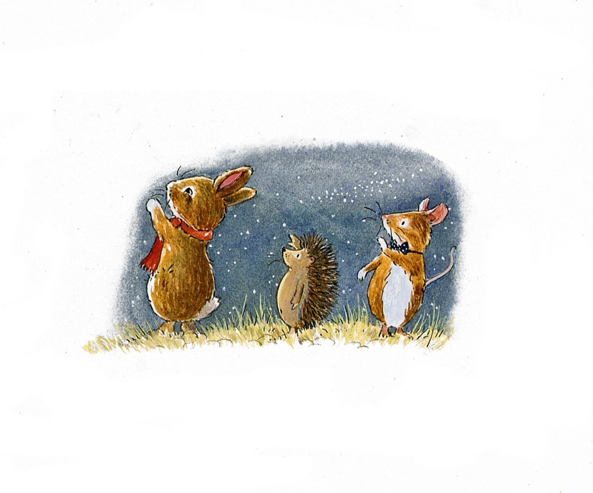 Rue, Willy and Harvey standing on the grass gazing up at a deep-blue starry night sky